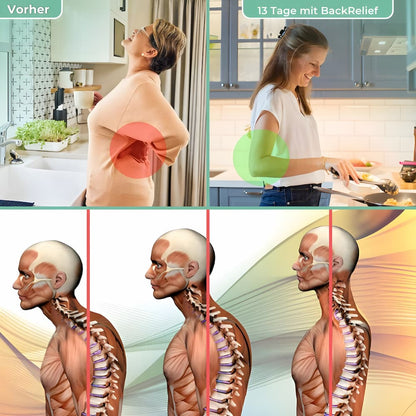 BackRelief - 3 in 1 Therapiekissen