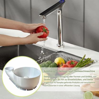 FruitWasher - Automatischer Gemüse- und Obstreiniger
