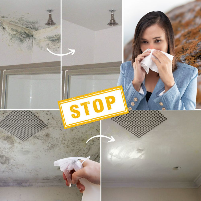 MoldBlast -  Schimmel schnell entfernen für ein sichereres, frischeres Zuhause