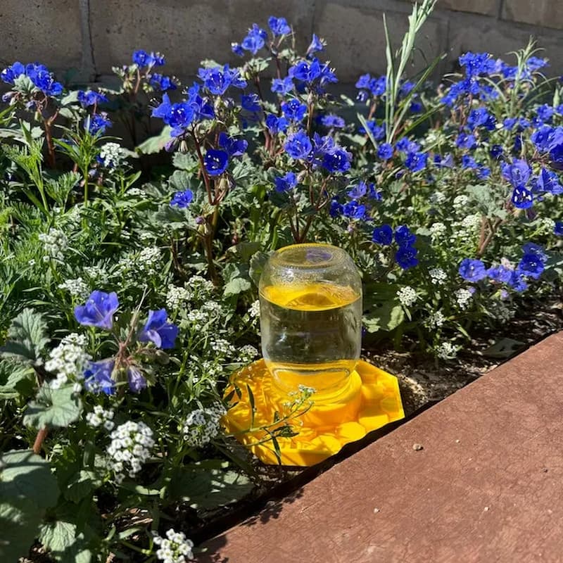 WaterBee -  Bienen-Wasserstelle für Ihre Gärten