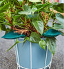 WateringLeave - Nie wieder Wasser beim Gießen Ihrer Pflanzen verschütten!