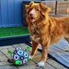 Lade das Bild in den Galerie-Viewer, StringBall™ - Fußball für Hunde!