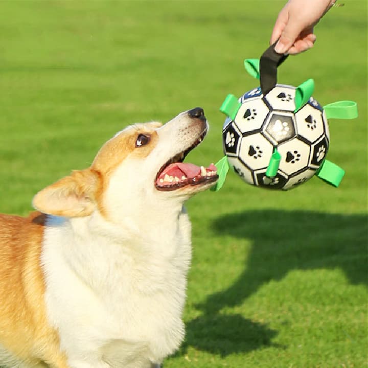 StringBall™ - Fußball für Hunde!