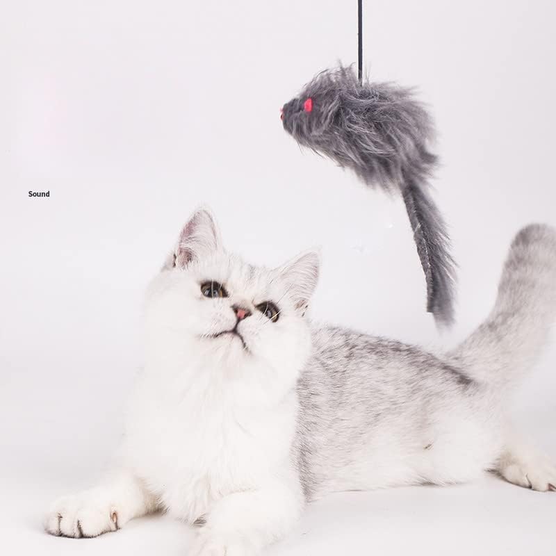 HangBounce - Hüpfendes Katzenspielzeug, das man an den Türpfosten hängt