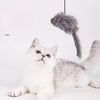 Lade das Bild in den Galerie-Viewer, HangBounce - Hüpfendes Katzenspielzeug, das man an den Türpfosten hängt