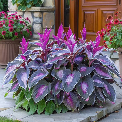 VerdeCeleste Hosta-Samen — Verwandeln Sie Schatten mühelos in üppige, lebendige Gartenmeisterwerke