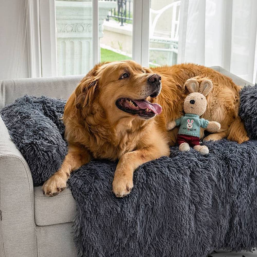 CouchBed - Hundebett Sofaschutz! - Frest
