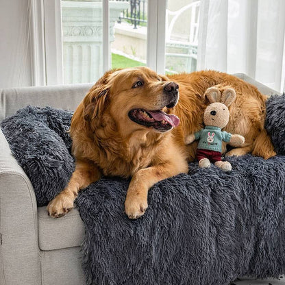 CouchBed - Hundebett Sofaschutz! - Frest