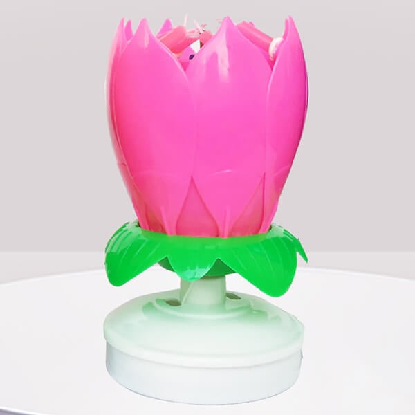 FlowerCandle - Magic Flower Geburtstagskerze - Frest