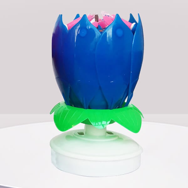 FlowerCandle - Magic Flower Geburtstagskerze - Frest