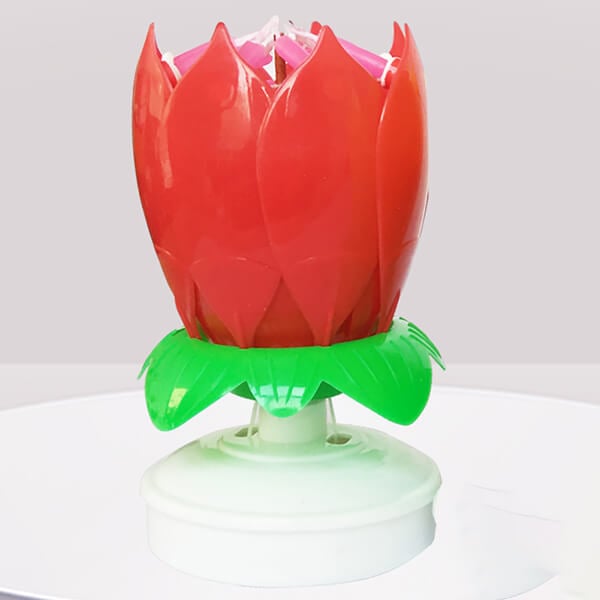 FlowerCandle - Magic Flower Geburtstagskerze - Frest