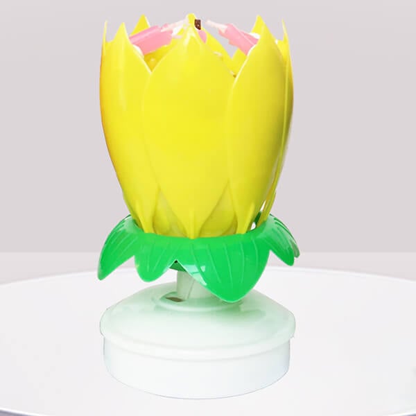 FlowerCandle - Magic Flower Geburtstagskerze - Frest