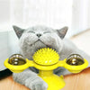 NipSpiner - Füllen Sie ihn mit Katzenminze und beobachten Sie, wie sich Ihre Katze amüsiert! - Frest