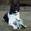 StringBall™ - Fußball für Hunde - Frest