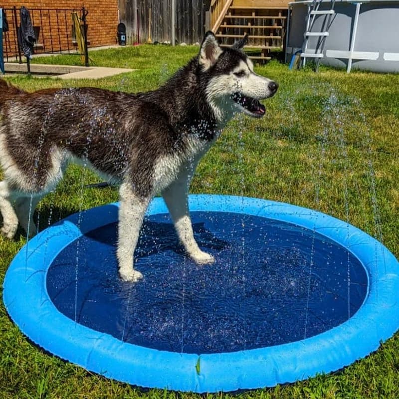 WaterMat - Hunde Sprinklermatte (150cm) - Frest