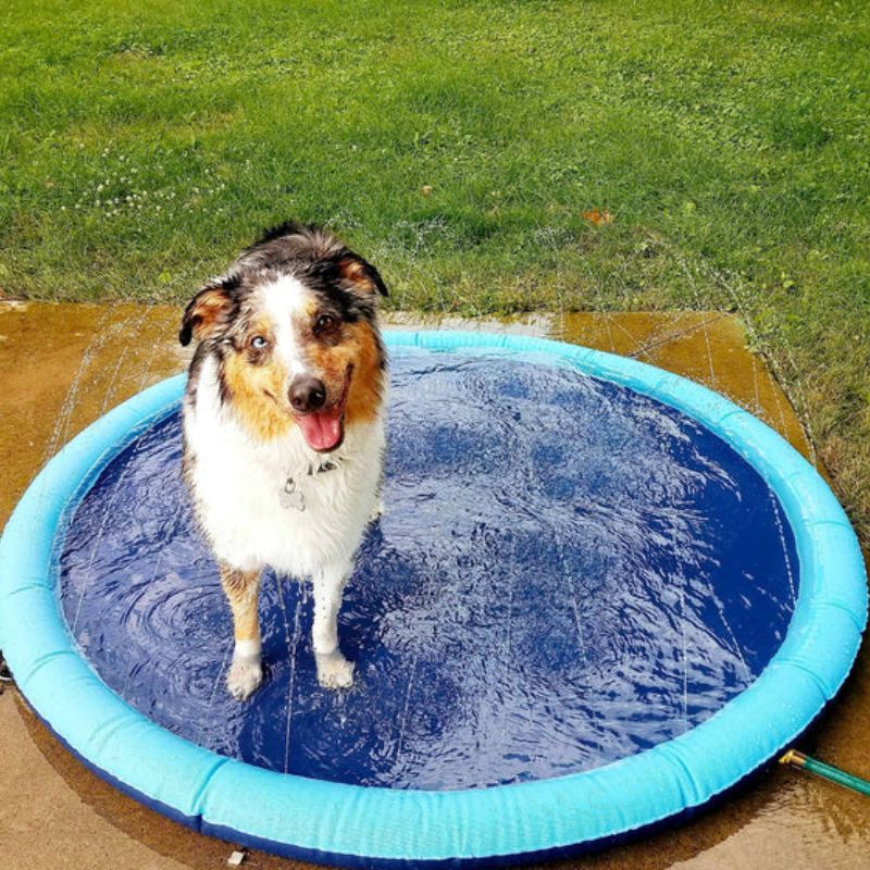 WaterMat - Hunde Sprinklermatte (150cm) - Frest