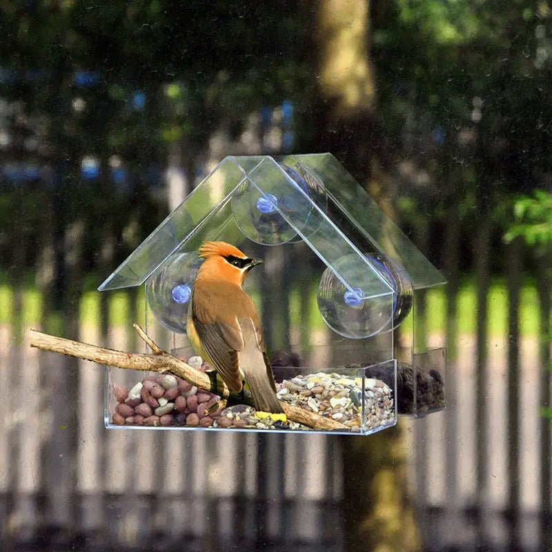 WindowFeeder - Bringt die Natur in Ihr Haus! - Frest