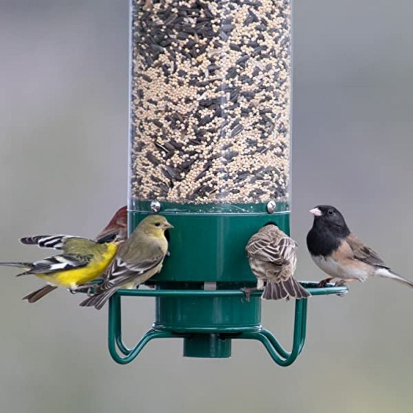 YankeeFlipper - Eichhörnchensicheres Vogelfutterhaus - Frest